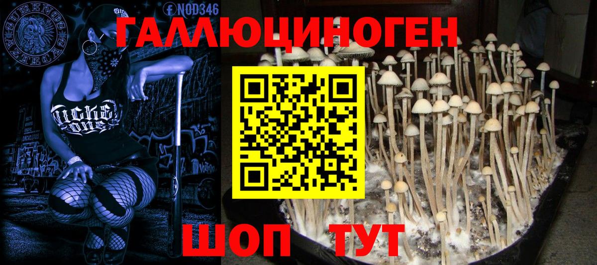 Сальск  Галлюциногенные грибы мицелий  Вход с VPN 