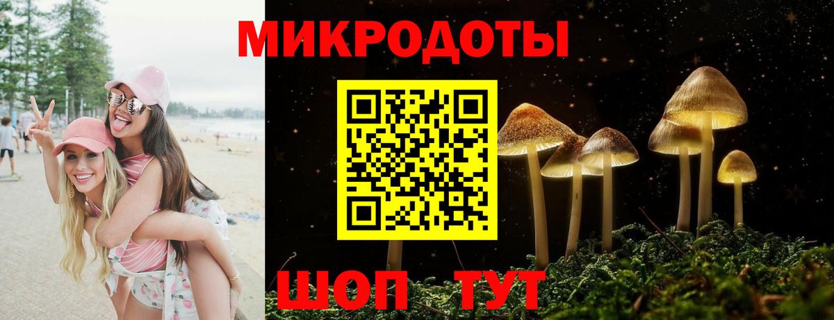 Галлюциногенные грибы Psilocybine cubensis Сальск